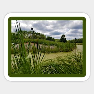 Bulrushes Sticker